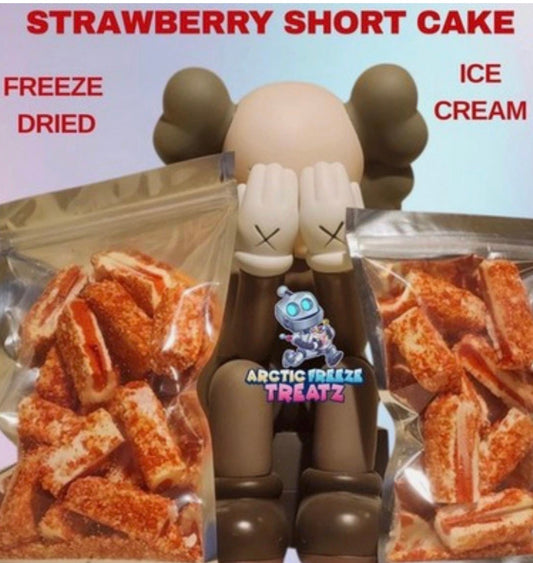 Freeze Dried Ice Cream Bar Bites Strawberry Shortcake Large Bag